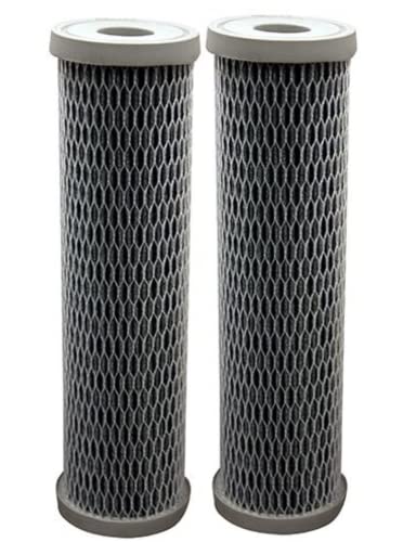 Pentair OMNIFilter TO3 Carbon Water Filter, 10-Inch, Standard Whole House Non-Cellulose Pleated Carbon Sediment and Taste & Odor Replacement Filter Cartridge, 10' x 2.5', 10 Micron, Pack of 2
