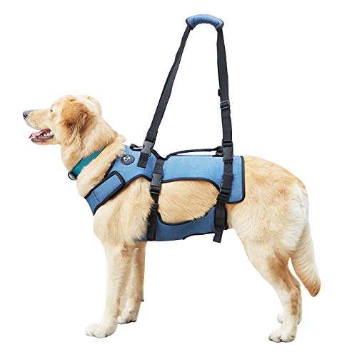 Coodeo Dog Lift Harness, Support & Recovery Sling, Pet Rehabilitation Lifts Vest Adjustable Breathable Straps for Old, Disabled, Joint Injuries, Arthritis, Paralysis Dogs Walk (Medium)