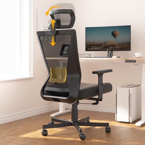 Dripex Ergonomic Office Chair, High Back Desk Chair, Mesh Computer Chair with Lumbar Support, Adjustable Headrest & 2D Armrest, 360° Swivel Task Chair, 90°-135°Tilt Function, Black