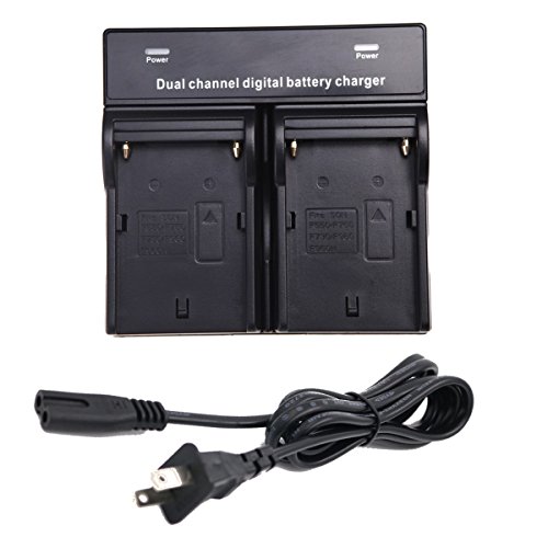 SR SUN ROOM Double Twin AC Battery Charger Sony NPF330 NP-F530 NP-F550 NP-F570 NP-F770 NP-F970 DSR-PD100AP DSR-PD150 DSR-PD150P DSR-PD170 DSR-PD170P DSR-PD190P HVR-M10P HVR-M10U