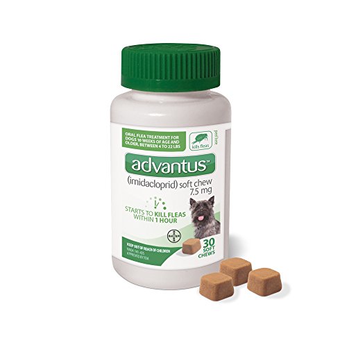 Best Over The Counter Flea Control For Dogs