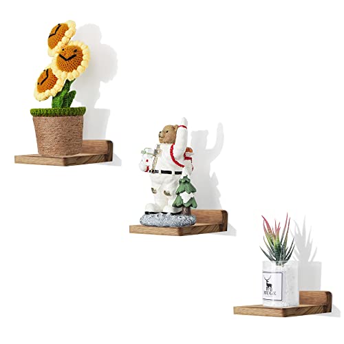 NIUBEST Small Floating Shelf,5 Inch Carbonized Black,Set of 3 Small Wall Shelf for Bedroom Living Room Bathroom Kitchen Office