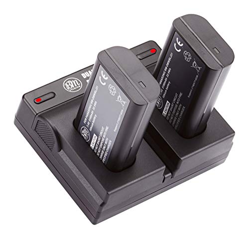 BM Premium 2 Pack of DMW-BLJ31 Batteries and Dual Bay Battery Charger for Panasonic Lumix DC-S1, DC-S1H, DMW-BGS1R Digital Cameras