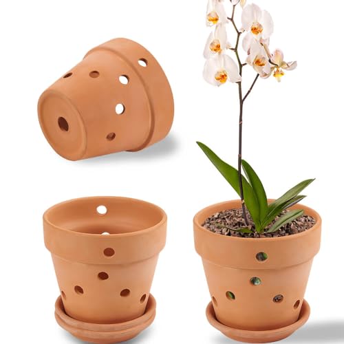 6 Inches Terracotta Orchid Pots with Holes - Set of 3 Clay Orchid Planter Pots for Repotting, Small Flower Plant Pots for Orchid Indoor or Outdoor Promotes Air Circulation （ with Saucer ）
