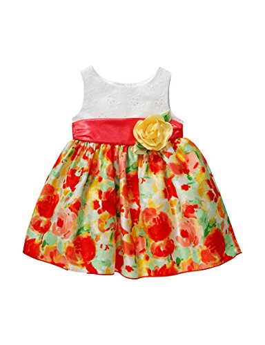 Youngland Toddler/Baby Girls' Floral Eyelet Dress, Coral/Multi (2T)