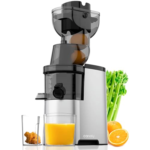 Masticating Juicer Machines, 4.1-inch(104mm) Powerful Slow Cold Press Juicer with Large Feed Chute, Electric Masticating Juicers for Vegetables and Fruits, Easy to Clean with Brush