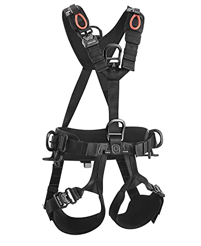 EDELRID Vertic Triple Lock II Size 2, Black