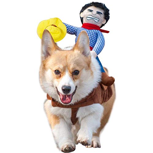 DELIFUR Dog Halloween Costume Funny Dog Cowboy Riding Costume Pet Costume Cat Suit Cowboy Rider Style for Small Medium Large Dogs (Medium)