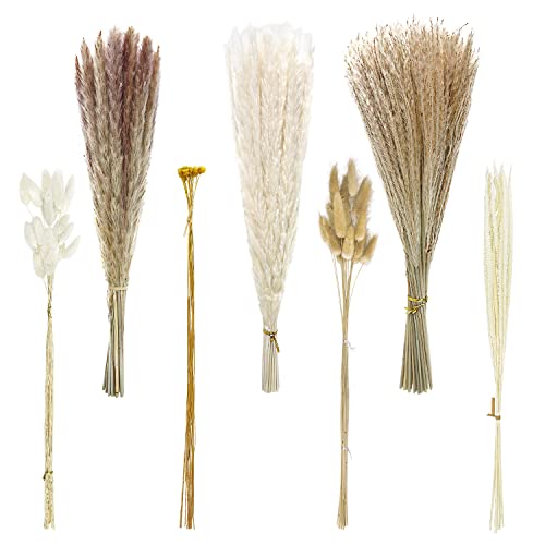 YSYFHG 135pcs Dried Pampas Grass Dried Flowers Home Decor Arrangement Plant Wedding Part Dried Flowers Decorations Natural Boho Pampas Grass Bouquet White Small Fluffy Reed Bunny Tails