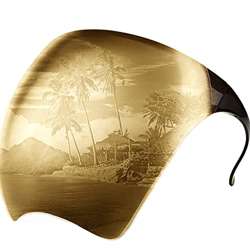 CHENSHU Oversized Full Face Sunglasses - Fashionable Sun Protection Polarized Face Shield,Beach, Outdoor Activities (SILVER), 168