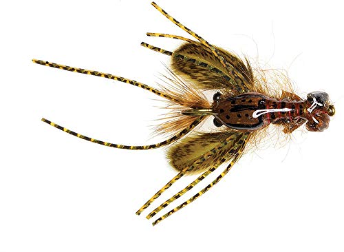 Umpqua Hada's Creek Crawler (Dirty Orange)