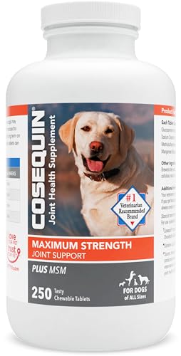 Nutramax Laboratories Cosequin Maximum Strength Joint Health Supplement for Dogs - With Glucosamine, Chondroitin, and MSM, 250 Chewable Tablets