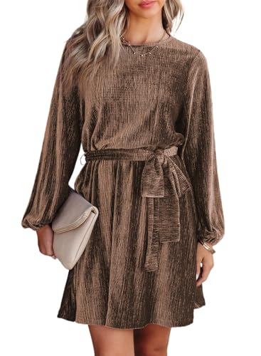 Happy Sailed Formal Dresses for Women Fall Fashion Long Sleeve Tie Waist A-Line Skater Velvet Mini Dress Elegant Cocktail Party Dresses for Wedding Guest Brown Large