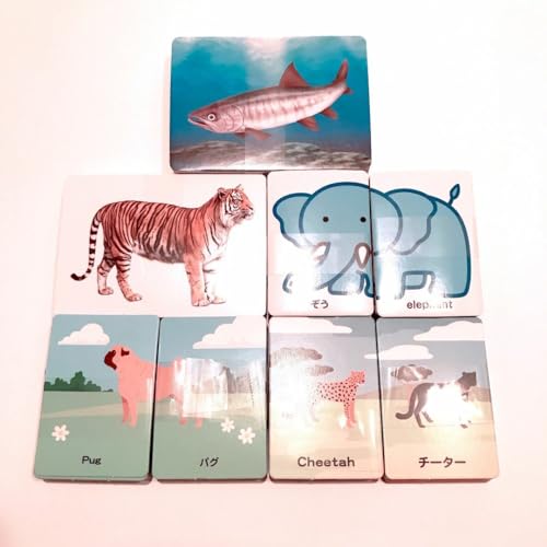 Flash Card Set