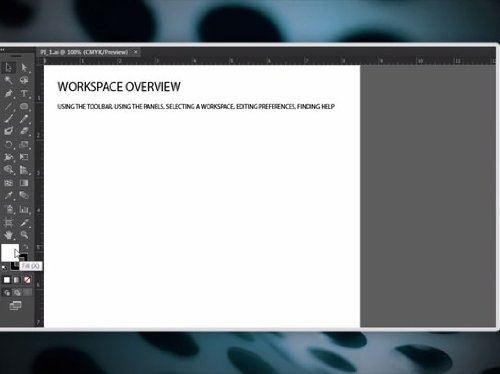 SECTION 1 | INTRO TO ILLUSTRATOR (Institutional Use)