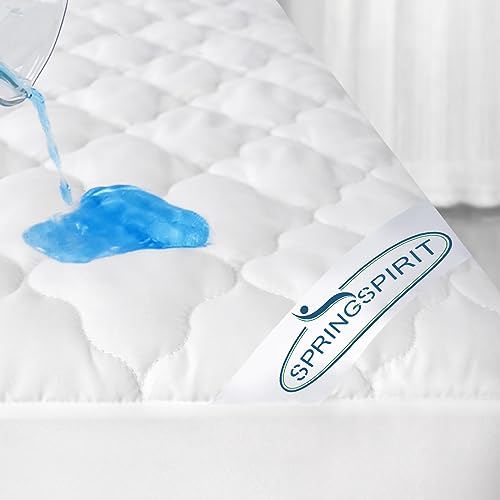 Queen Mattress Pad, Queen Mattress Protector Waterproof Quilted, Queen Mattress Cover Fitted with Ultra Soft & Absorbent Surface and Deep Pocket to 14 inch, Machine Washable Mattress Pad