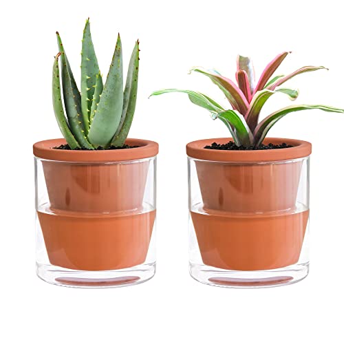 D'vine Dev 4 Inch Design Self Watering Pot for Indoor Plants, Terracotta Planter with Cylinder Glass Cup, Set of 2, 372-A-2