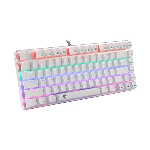 HUO JI 60% Mechanical Gaming Keyboard, E-Yooso Z-88 with Red Switches, Rainbow LED Backlit, Compact 81 Keys Hot Swappable, Silver and White