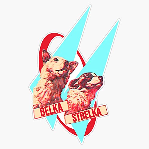 strelka and belka, space travellers Bumper Sticker Vinyl Decal 5'