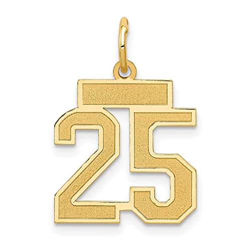 14k Yellow Gold Small Number 25 Necklace Charm Pendant Charms Fine Jewelry For Women Gifts For Her