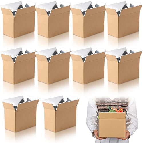 Insulated Shipping Box Cold Chill Double Insulated Carton with Foil Foam Cooler Boxes Delivery Moving Kits Foam Shipping Containers for Mailing Packing, Box Inside 8'' x 4''x 5'' (10)