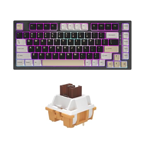 YUNZII YZ75 75% Hot Swappable Wireless Gaming Mechanical Keyboard(Gateron G Pro Red, Black), Custom Mechanical Keyboard Switches Set(35Pcs,Caramel Coffee)