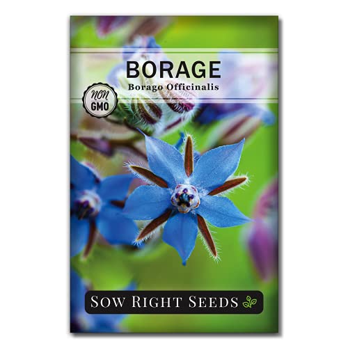 Sow Right Seeds - Borage Seed to Plant - Non-GMO Heirloom Seeds - Full Instructions for Easy Planting and Growing a Kitchen Herb Garden - Indoors or Outdoor - Great Gardening Gift (1)