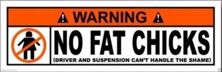 MFX Design Warning No Fat Chicks Sticker Decal Vinyl - Made in USA 4.25 in. x 1.25 in.