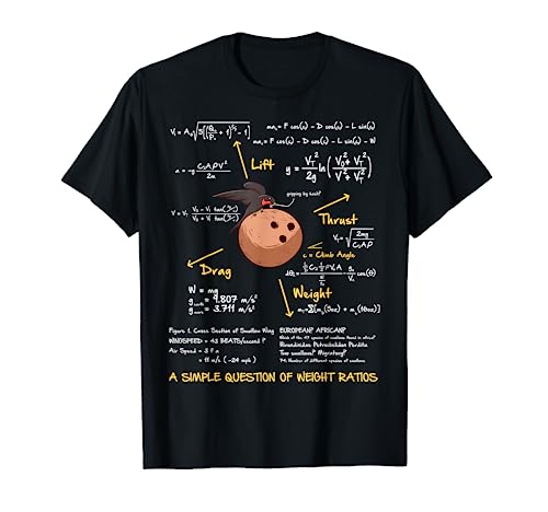 A Simple Question Of Weight Ratios Funny Math T-Shirt
