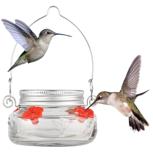 Nature's Way Bird Products MJF1 Nature's Way Mason Jar Hummingbird Dish Feeder, Clear 4' dia.