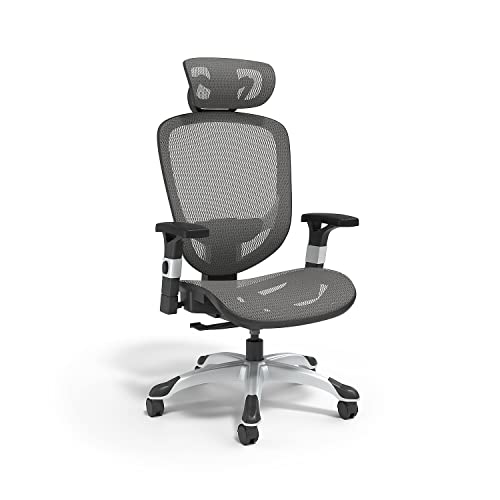 FlexFit Hyken Mesh Task Chair - Adjustable with Lumbar, Arm and Head Support, Charcoal Gray