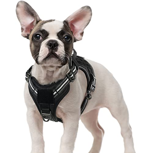 rabbitgoo Dog Harness No Pull, Military Dog Harness for Small Dogs with Handle & Molle, Easy Control Service Dog Vest Harness Training Walking, Adjustable Reflective Tactical Pet Harness, Black, S