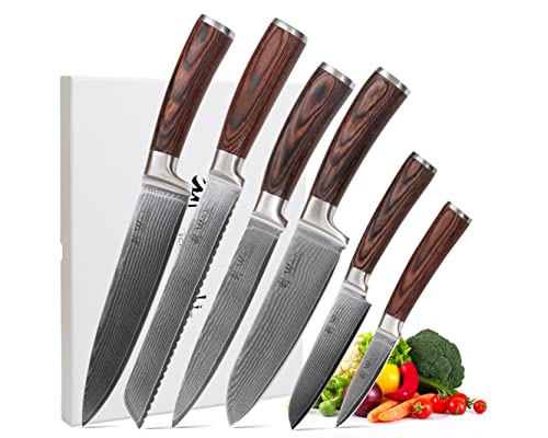 Wakoli EDIB 6-pcs Damascus Knife Set I Professional Kitchen Knives made of Japanese Damascus Steel VG10 Chef Knife Set with Pakka Wood Handle in Gift Box
