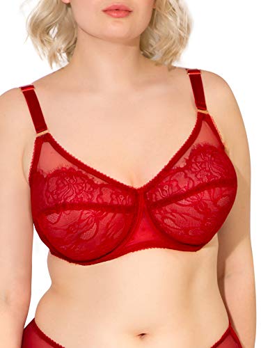 Smart & Sexy womens Plus-size Lace Mesh Unlined Underwire Full Coverage Bra, No No Red, 38DD US