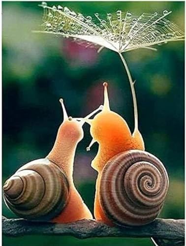 Jigsaw Puzzles Animal Snail 500 Piece Jigsaw Puzzle challenging and Stimulating Puzzle Game Wall Art Unique Gift, Style-15, 500PCS