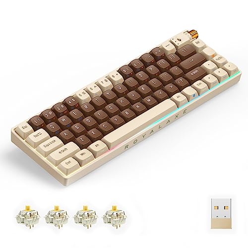 ROYALAXE 60 Percent Wireless Mechanical Keyboard, Gateron G Pro 3.0 Yellow Switch, Hot Swappable Wired/Bluetooth/2.4G Wireless Keyboard with RGB Light for Windows & Mac, PBT Keycaps, Lava Brown