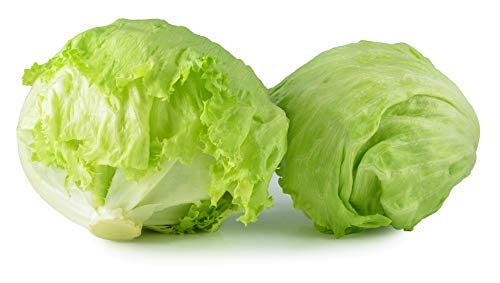 500 Iceberg Lettuce Seeds for planting - Heirloom Non-GMO USA Grown Premium Vegetable Seeds for Planting Home Garden - Crisphead Heading Lettuce Lactuca Sativa by RDR Seeds