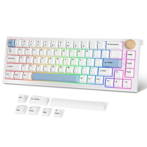 FANTECH MAXFIT67 3-Mode Custom Mechanical Gaming Keyboard RGB Backlit, 65% (67-Key) Hot Swappable Bluetooth/2.4G Wireless/Type-C Wired South Facing Mechanical Keyboard, Yellow Switch, White