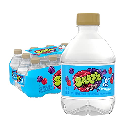 Splash Blast, Wild Berry Flavored Water, Zero Sugar, with Electrolytes, 8 Fl Oz, 12 Pack