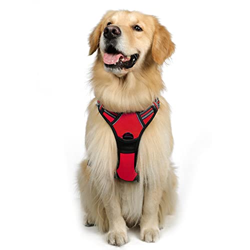 rabbitgoo Dog Harness, No-Pull Pet Harness with 2 Leash Clips, Adjustable Soft Padded Dog Vest, Reflective No-Choke Pet Oxford Vest with Easy Control Handle for Large Dogs, Red, L