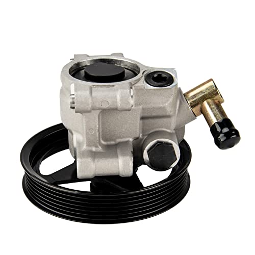 PHILTOP Power Steering Pump 20-282 for Crown Victoria 1999-2002 4.6L, F150 1997-2003 4.6L 5.4L 4.2L, F150 Heritage 2004 4.6L 5.4L 4.2L, 20262 Power Assist Pump replacement power steering pumps