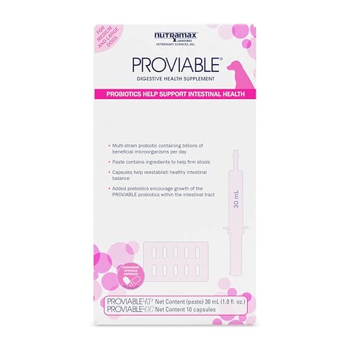Nutramax Proviable Digestive Health Supplement Kit with Multi-Strain Probiotics and Prebiotics for Medium to Large Dogs - with 7 Strains of Bacteria, 30 mL Paste and 10 Capsules