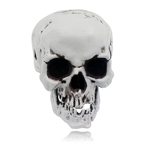 Aggsoso Skull Decor Plastic Skulls Heads, Day of The Dead Decor Human Skull Life Size Skeleton Head Realistic Model 1:1 for Indoor Outdoor Bar Decor Halloween Graduation Party Favors