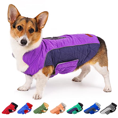 ThinkPet Dog Cold Weather Coats - Cozy Waterproof Windproof Reversible Winter Dog Jacket, Thick Padded Warm Coat Reflective Vest Clothes for Puppy Small Medium Large Dogs Purple