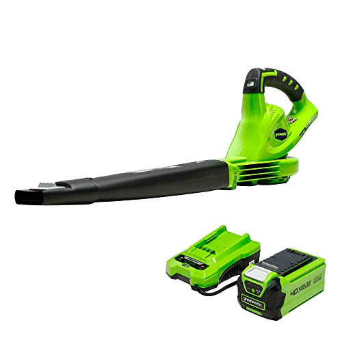 Greenworks 40V (Powerful, Quiet, Lightweight, 1 Hour Rapid Charger, 75+ Compatible Tools), 2.0Ah Battery and Charger