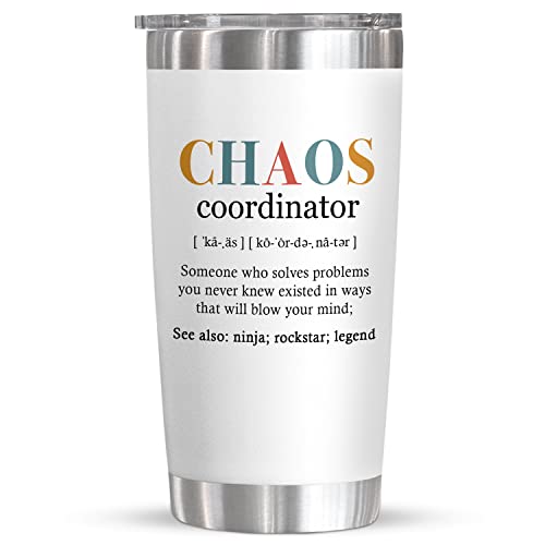 Coworker Gifts For Women, Gifts for Boss, Assistant, Teacher, Funny Appreciation, Inspiration Work Gifts For Coworkers, Christmas, Birthday, Retire, Thank you Gift 20 Oz Stainless Steel Tumbler