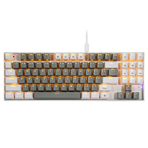 HUO JI E-YOOSO Z-13 Mechanical Gaming Keyboard Wired with Number Pad, LED Backlit, Linear Red Switch, Detachable USB-C Cable, Compact 89 Keys for Windows/Mac, Laptop/Computer (Grey White)