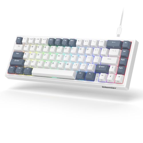 V-K66 60% Percent Keyboard, Mechanical Gaming Keyboard Gasket Mounted, Hot-swappable Keyboard Wired LED Backlit Creamy Keyboard with Arrow Keys - White and Grey