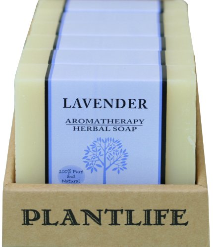 Plantlife Lavender 6-pack Bar Soap - Moisturizing and Soothing Soap for Your Skin - Hand Crafted Using Plant-Based Ingredients - Made in California 4oz Bar
