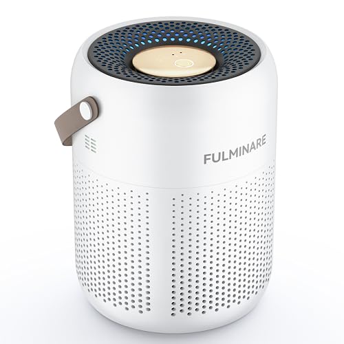 FULMINARE Air Purifiers for Bedroom, H13 True HEPA Air Purifiers for Home, Pets, Office, Portable Small Air Filters with Auto Air Quality Monitoring, Quiet Air Cleaner